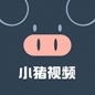 小猪视频app下载罗志祥