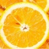橙子直播app破解版ios