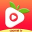 草莓成版人性视频app安卓版