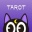 塔罗猫 2.5.02 安卓版