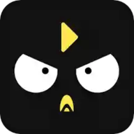笨鸟数据 V1.3.6 安卓版