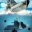 潜艇射击大战 V3.4.1 安卓版