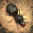 蚂蚁：地下王国 V1.19.0 安卓版