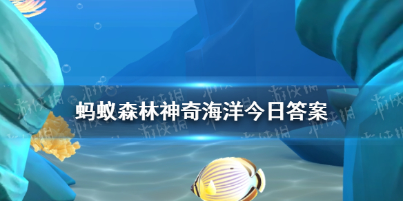 哪种海洋生态更适应高盐的潮间带环境 神奇海洋10月17日答案最新