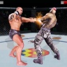 MMA擂台拳击格斗3D v1.0