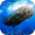 抹香鲸模拟器 v1.2.1