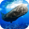 抹香鲸模拟器 v1.2.1