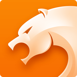 猎豹浏览器极速精简版 v5.29.1