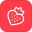 小红莓写作助手 v1.3
